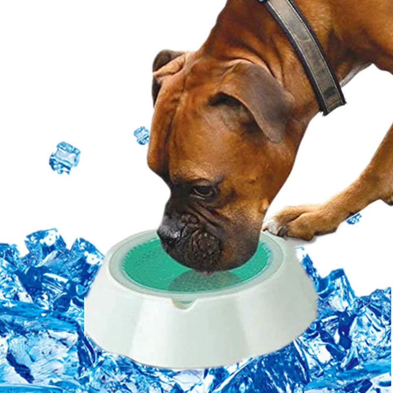 Cool Summer Pet Ice Bowl - Dog Cat Food Water Dish Cooling Plate