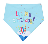 Blue Bibs