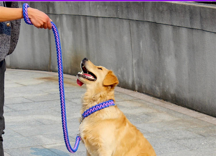 Premium Dog Collar And Leash Set For Large Breed Dogs