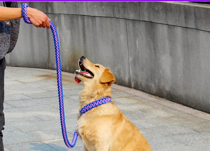 Premium Dog Collar And Leash Set For Large Breed Dogs