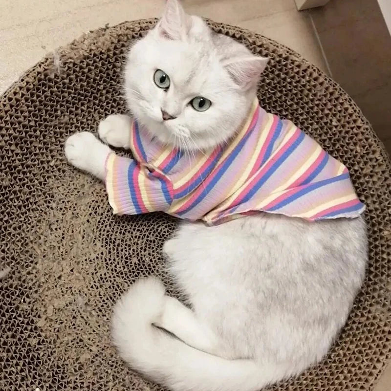 Colorful Stripe Cat Vest Shirt For Small Cats And Dogs Cotton Pet Clothes