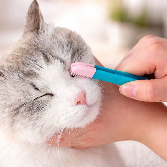 Pet Grooming Tear Stain Remover Comb - Cat Eye Care Tool For Dogs