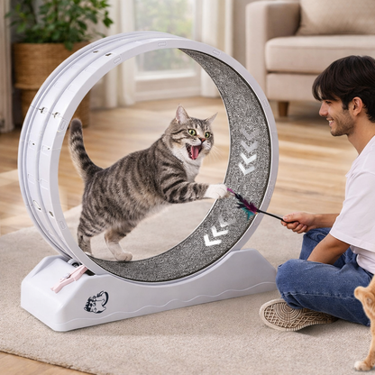 SucceBuy Cat Exercise Wheel 31.5 Inch Large Treadmill With Brake