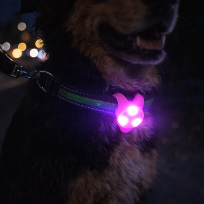 Pet LED Safety Collar Light - Flashing Glow Pendant For Dogs