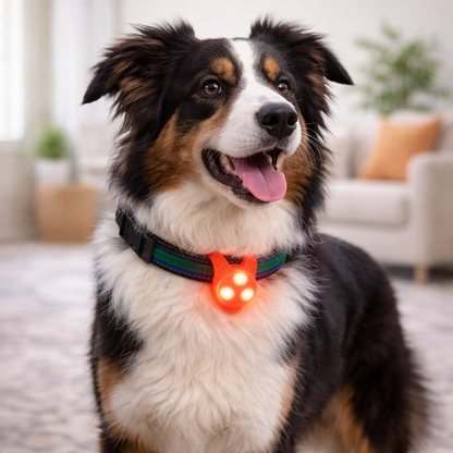 Pet LED Safety Collar Light - Flashing Glow Pendant For Dogs