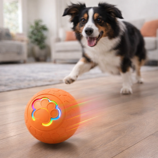 Smart Dog Toy Ball With LED Lights Interactive Pet Ball