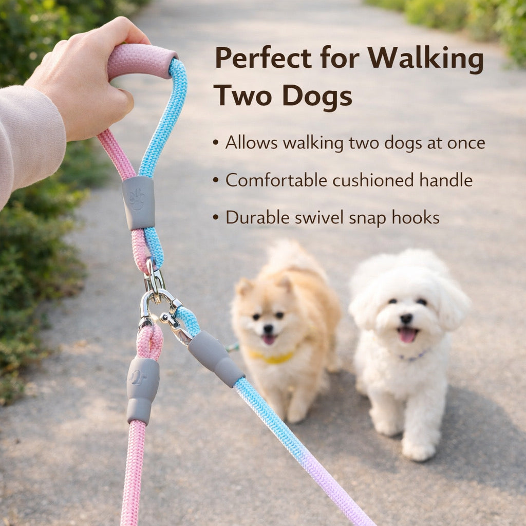 Double Pet Leash With Jewel-Tone Gradient For Middle Eastern Pet Owners