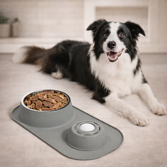 2-in-1 Stainless Steel Double Dog Food Bowls Set With Non-Slip Mat