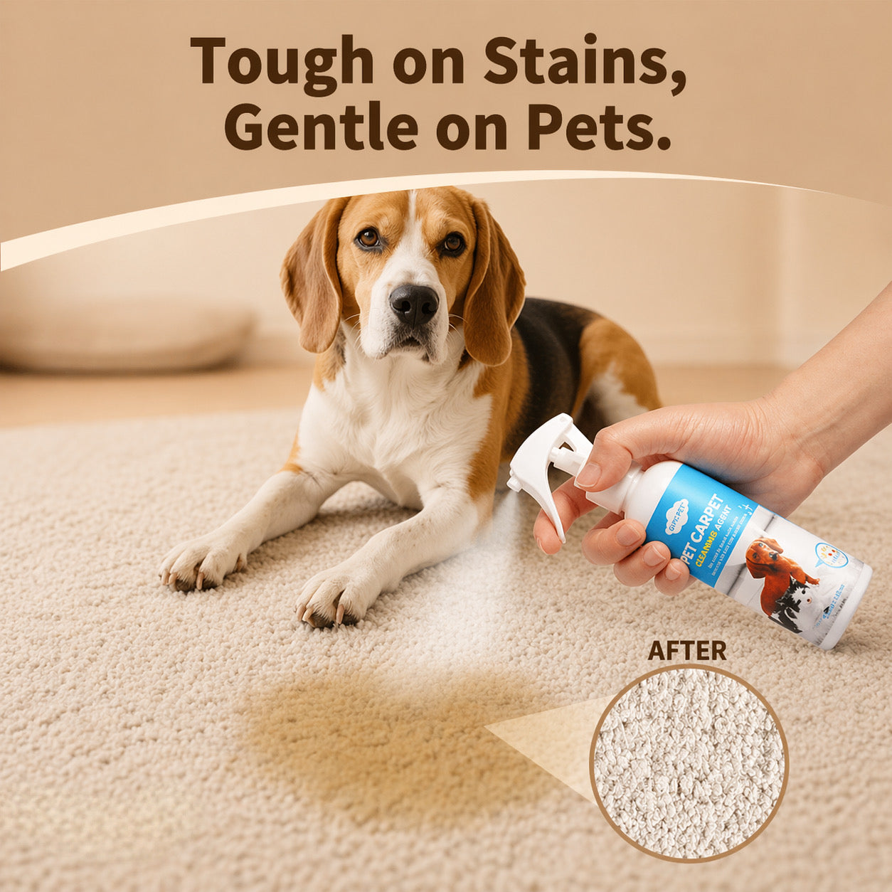 Pet Carpet Cleaner For Dogs And Cats - Urine Stain Odor Remover
