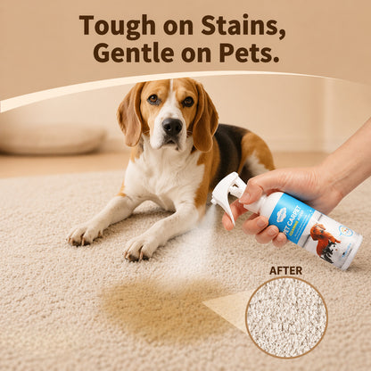 Pet Carpet Cleaner For Dogs And Cats - Urine Stain Odor Remover