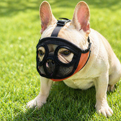 French Bulldog Muzzle - Anti-Bite Safety Mask for Short Nose Dogs