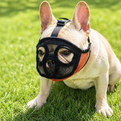 French Bulldog Muzzle - Anti-Bite Safety Mask for Short Nose Dogs