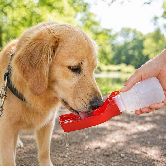 Portable Dog Water Bottle For Walking Travel Pet Drinking Cup