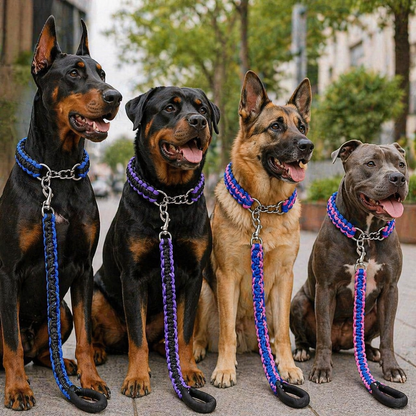 Premium Dog Collar And Leash Set For Large Breed Dogs