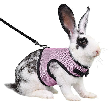 Breathable Pet Vest Harness For Small Animals - Adjustable Comfort Fit