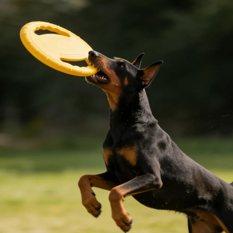 Dog Flying Disc EVA Chew Toy - Indestructible Pet Training Disc