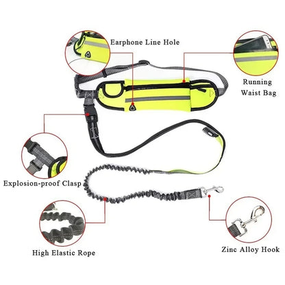 Hands Free Dog Leash with Reflective Waist Bag for Running