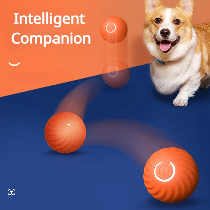 Smart Electric Ball Dog Toy With USB Charging And Gravity Jump