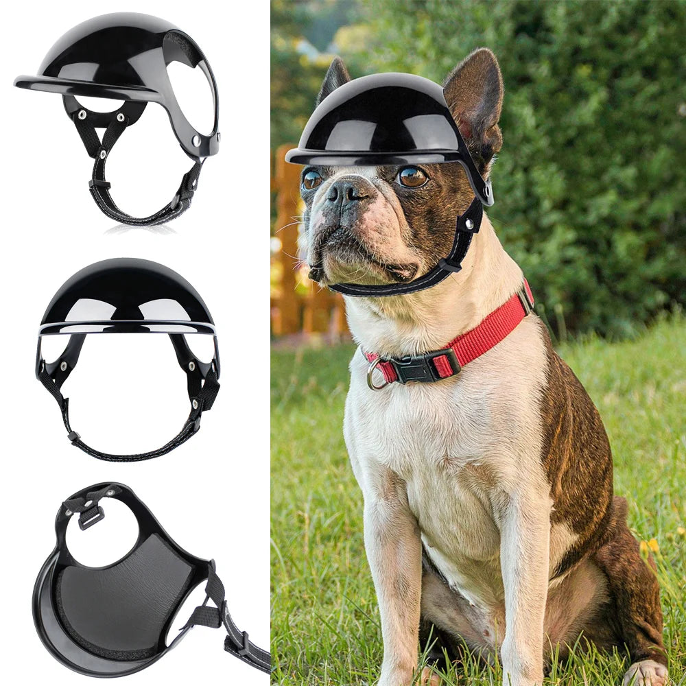 Dog Helmet For Small Medium Dogs Hiking Cycling Pet Safety Gear