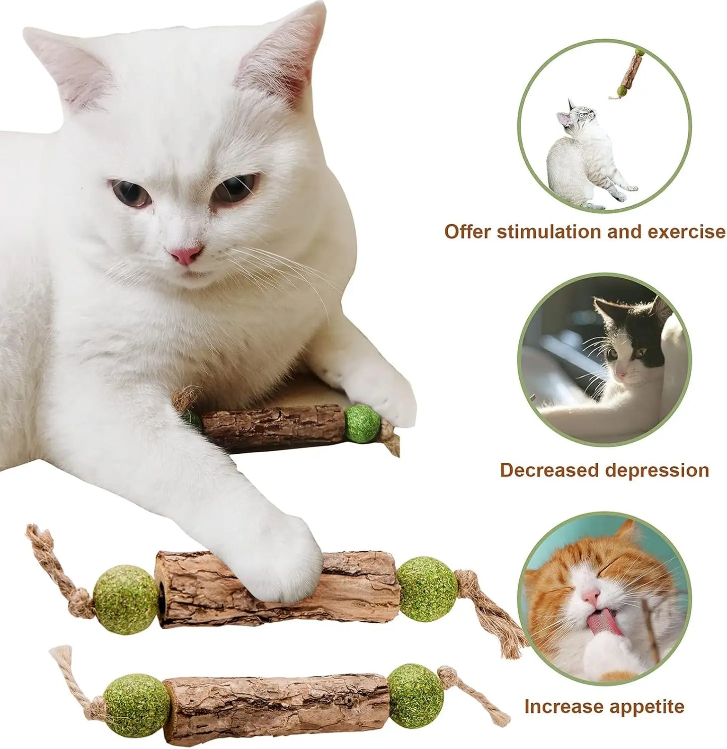 Natural Catnip Teeth Cleaning Stick For Cats - Matatabi Chew Toy