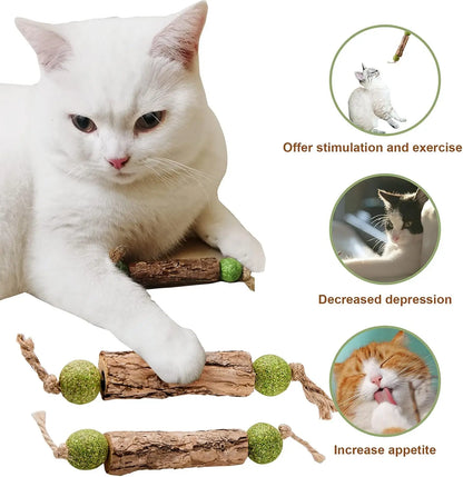 Natural Catnip Teeth Cleaning Stick For Cats - Matatabi Chew Toy