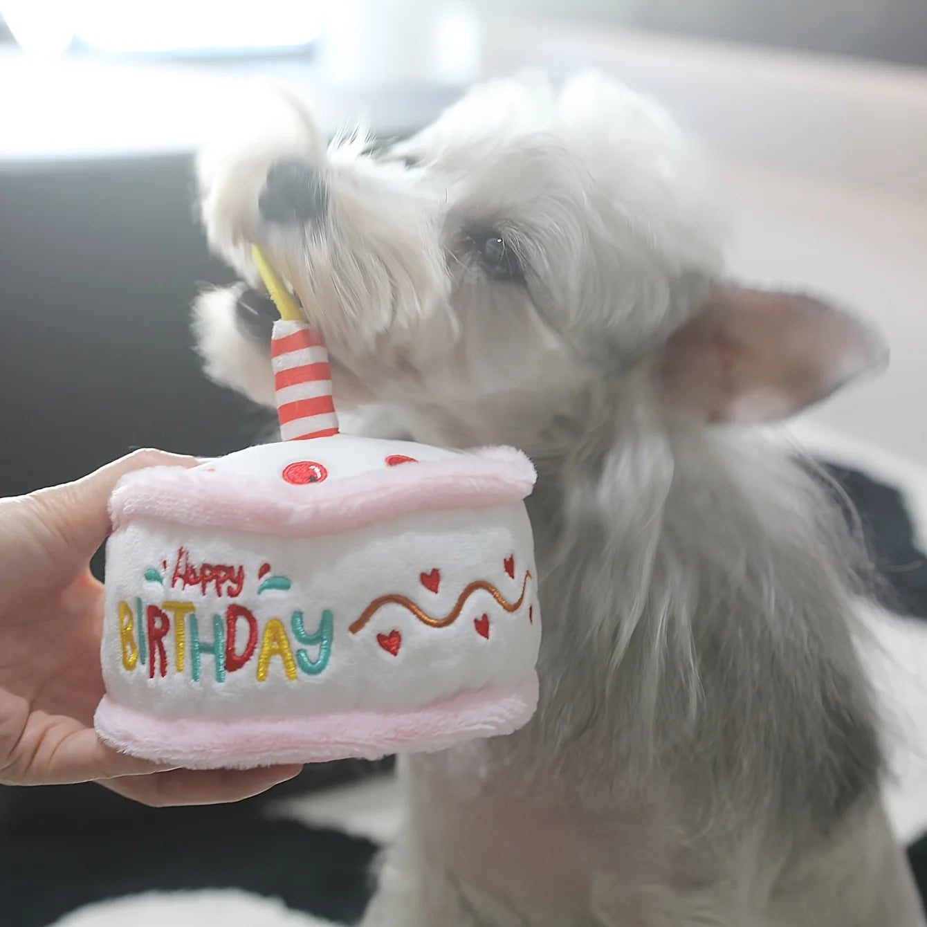 Interactive Plush Birthday Cake Squeaky Toy For Pets With Happy Birthday Embroidery