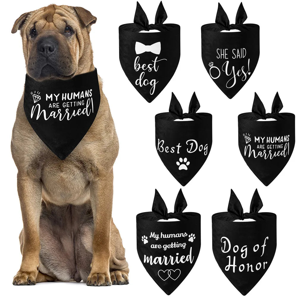 Dog Wedding Bandana She Said Yes Engagement Announcement Pet Scarf