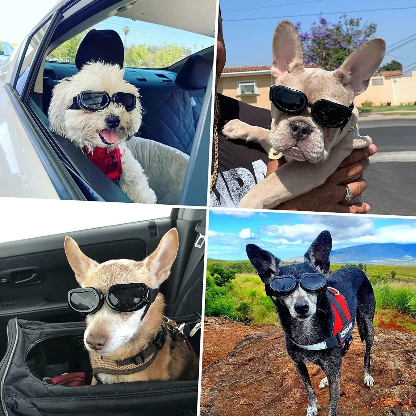 Dog Helmet Sunglasses For Small Medium Dogs UV Protection Outdoor