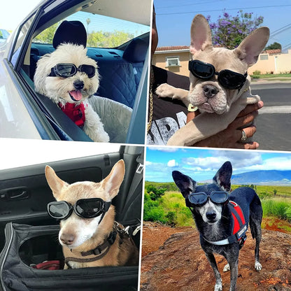 Dog Helmet Sunglasses For Small Medium Dogs UV Protection Outdoor