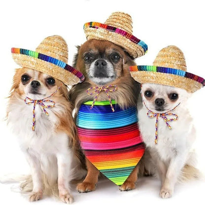 Mexican Dog Hat And Bandana Set - Striped Pet Neck Scarf