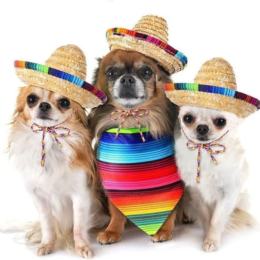 Mexican Dog Hat And Bandana Set - Striped Pet Neck Scarf