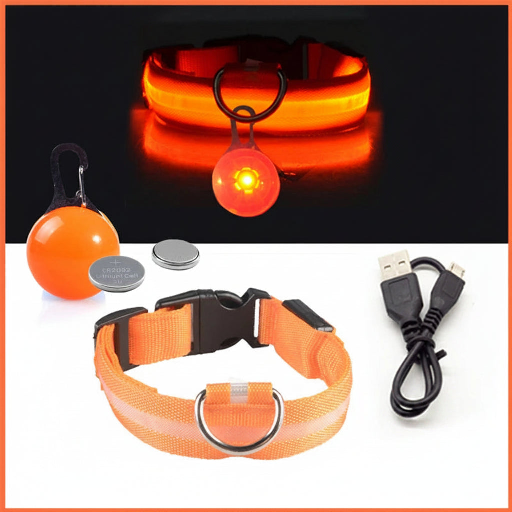 USB Charging LED Dog Collar With Detachable Pendant For Night Safety