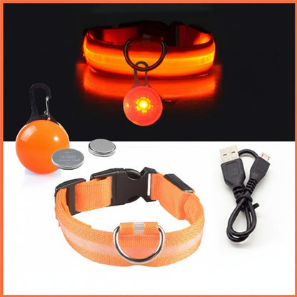 USB Charging LED Dog Collar With Detachable Pendant For Night Safety