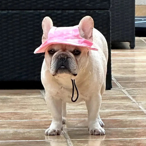 Cute French Bulldog Pet Hats With Ear Holes For Small Dogs