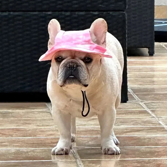 Cute French Bulldog Pet Hats With Ear Holes For Small Dogs