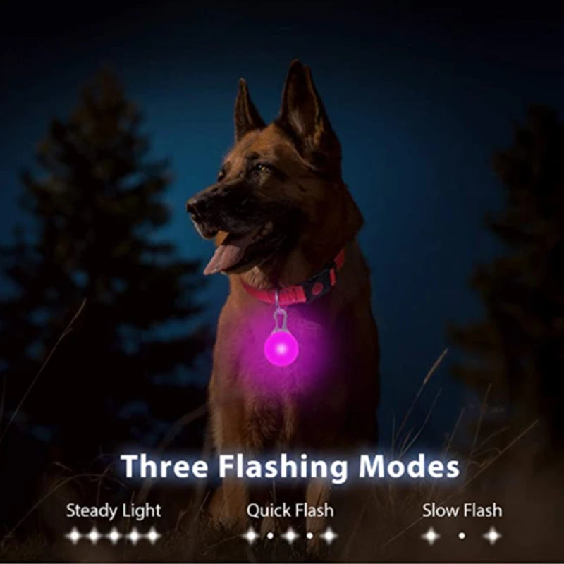 USB Charging LED Dog Collar With Detachable Pendant For Night Safety