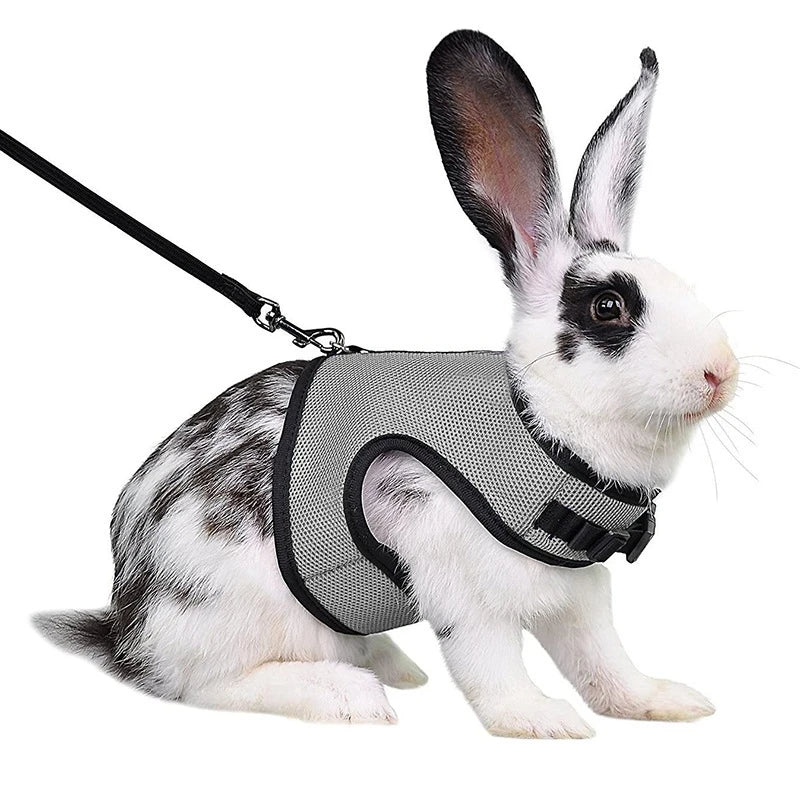 Breathable Pet Vest Harness For Small Animals - Adjustable Comfort Fit