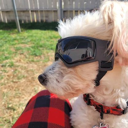 Pet Dog UV Protection Sunglasses Goggles For Small Medium Breeds