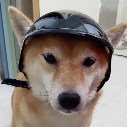 Dog Helmet For Small Medium Dogs Hiking Cycling Pet Safety Gear