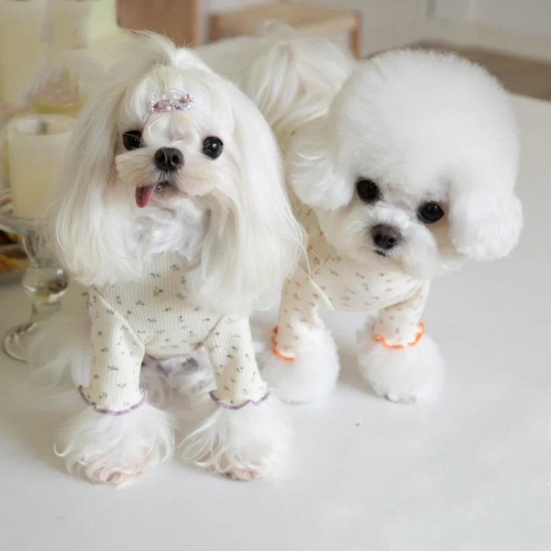 Small Dog Sweater Autumn Winter Flower Lace Pet Clothes