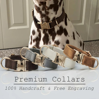 Personalized Dog Collar Leash Set With Bow - Multiple Colors