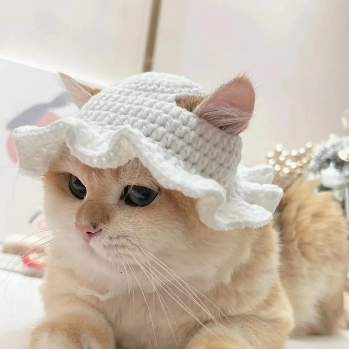 Cute Cat Hat Funny Pet Party Cosplay Knitted Headwear Accessories