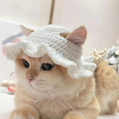 Cute Cat Hat Funny Pet Party Cosplay Knitted Headwear Accessories
