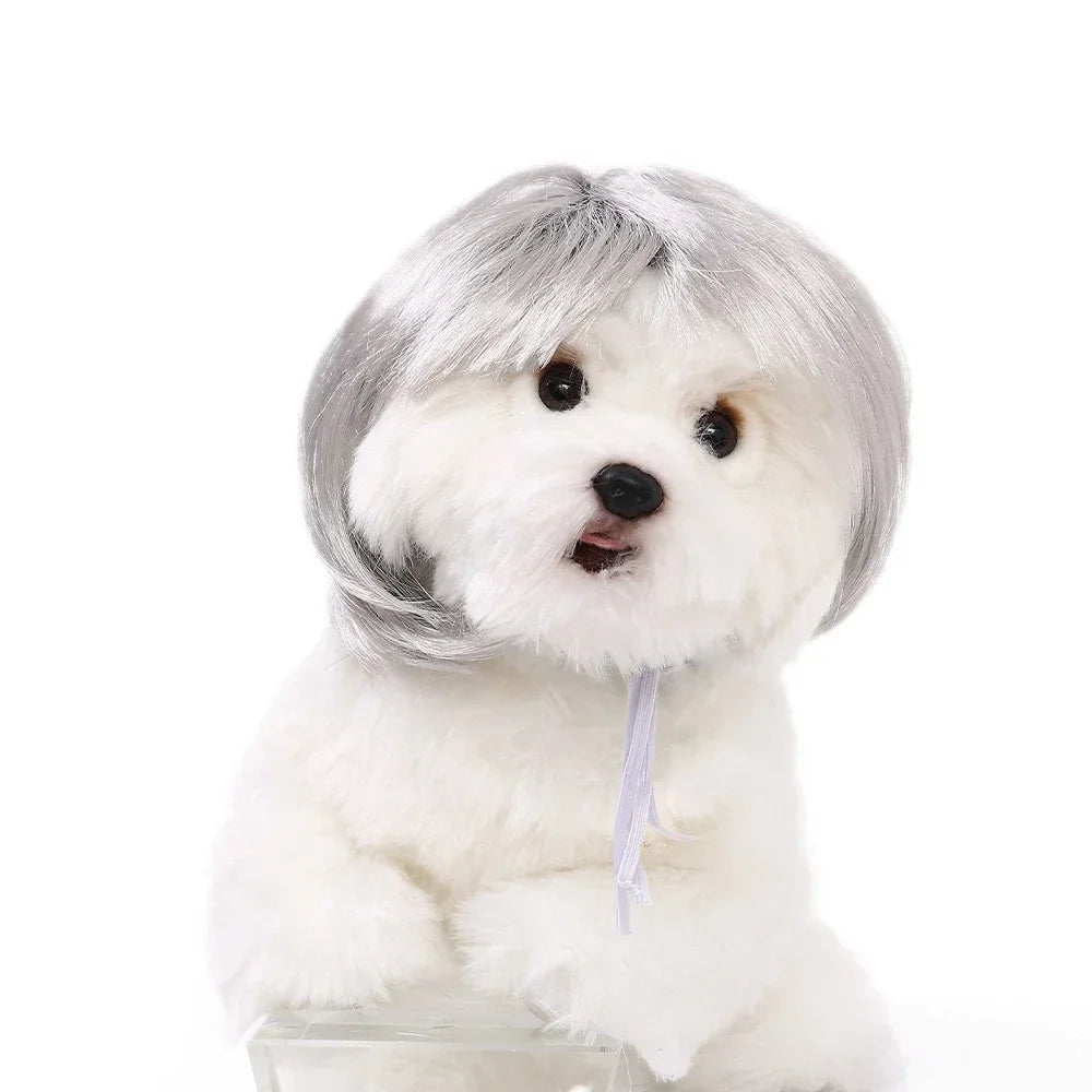 Pet Wig for Dogs and Cats - Halloween Costume Accessory with DIY Trim