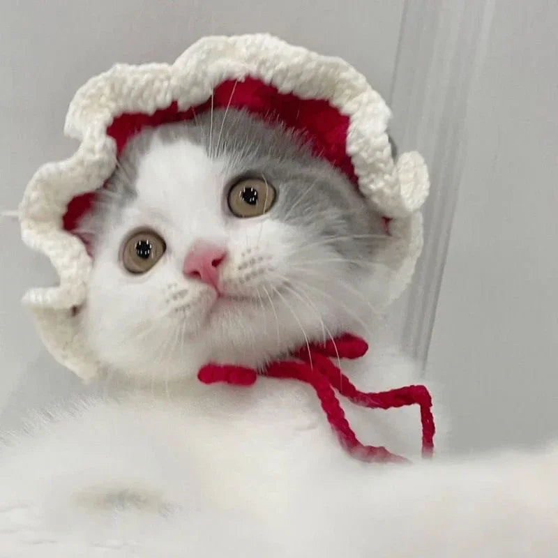 Cute Cat Hat Funny Pet Party Cosplay Knitted Headwear Accessories