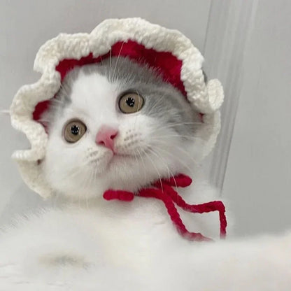 Cute Cat Hat Funny Pet Party Cosplay Knitted Headwear Accessories