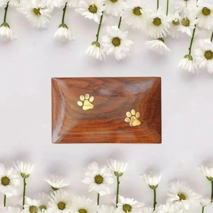 Premium Solid Wood Pet Urn Bamboo Casket for Cat and Dog Ashes