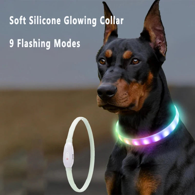 USB Rechargeable LED Dog Collar with 9 Flashing Modes