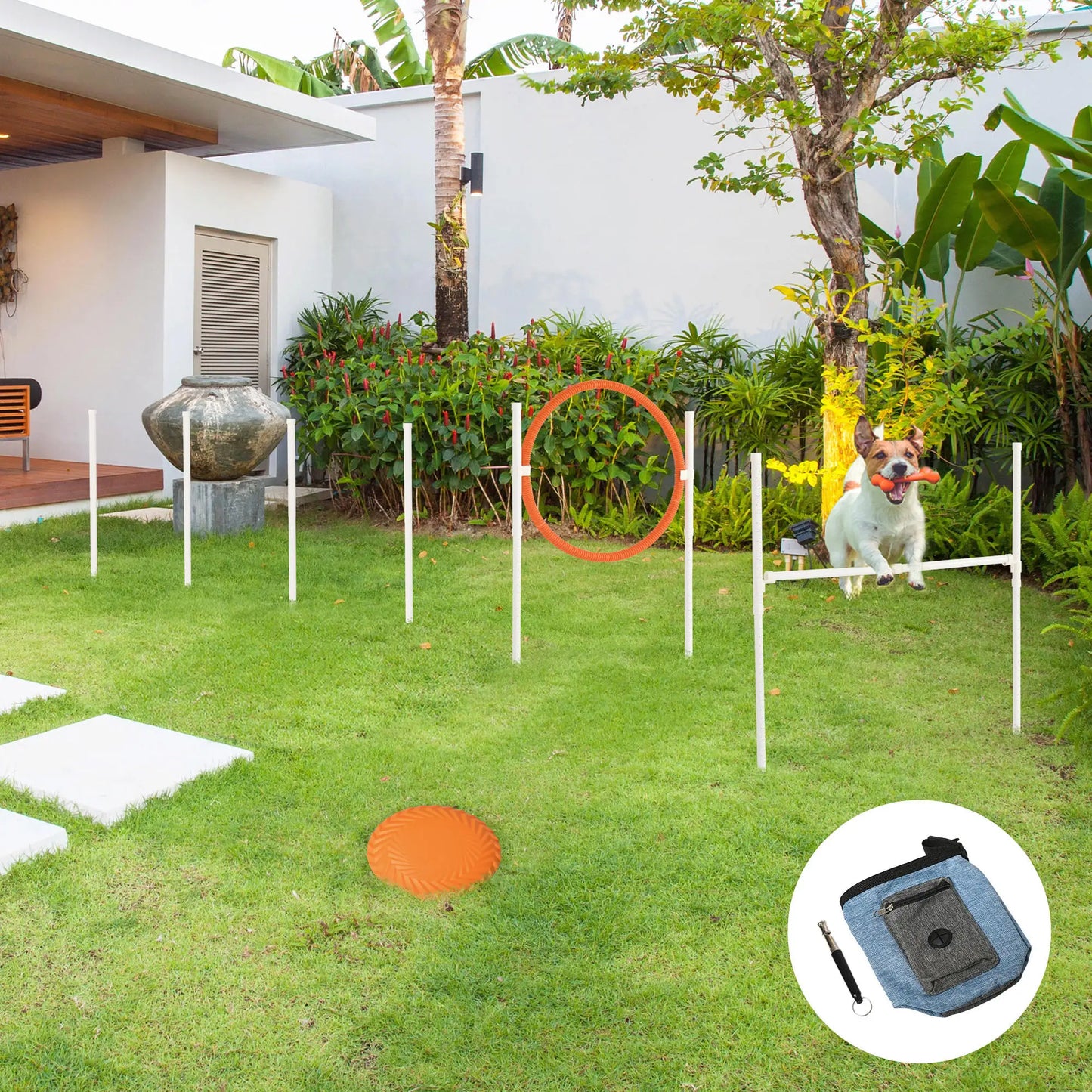 PawHut Dog Agility Training Set - 5 Piece Equipment Kit With Bag