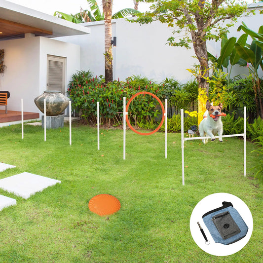PawHut Dog Agility Training Set - 5 Piece Equipment Kit With Bag